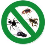 Safehom Pest Control Services